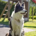 Gaestehaus Nassfeld Quarto em Acomodações Particulares *