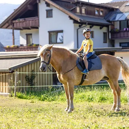 Pansiyon Gaestehaus Nassfeld Tröpolach