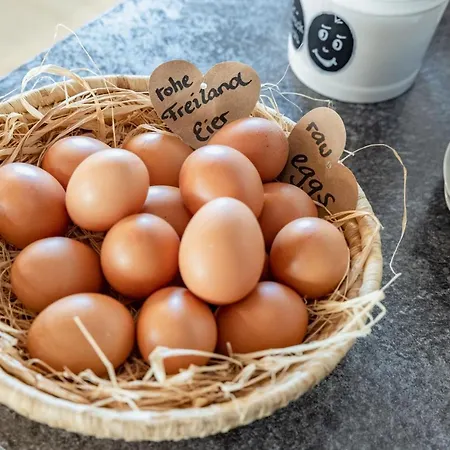 Gaestehaus Nassfeld Homestay szállás