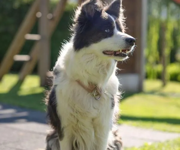 Gaestehaus Nassfeld בית אירוח *